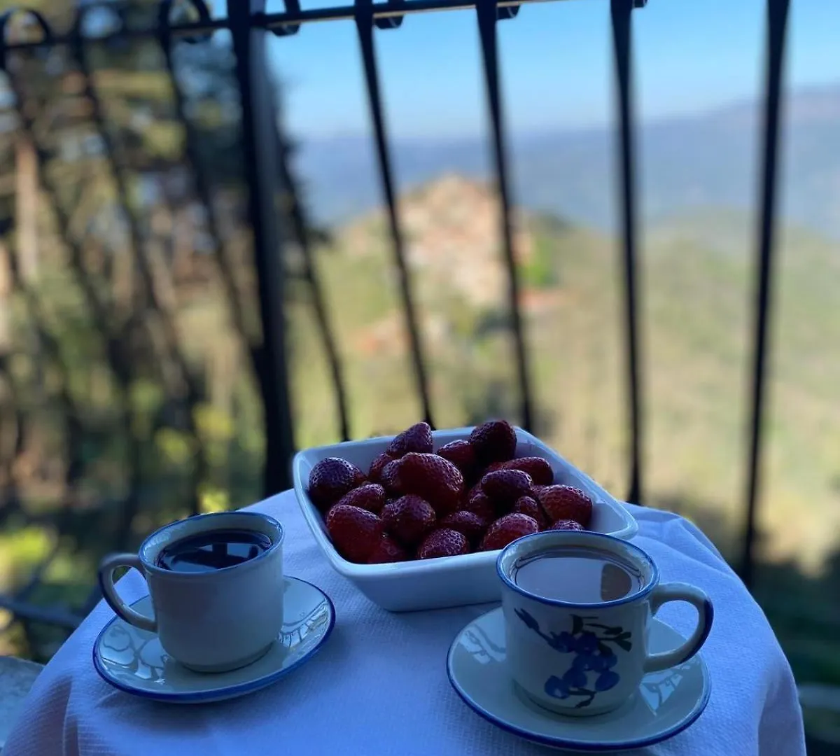 Holiday home Villa Perla Del Sole Baiardo Italy